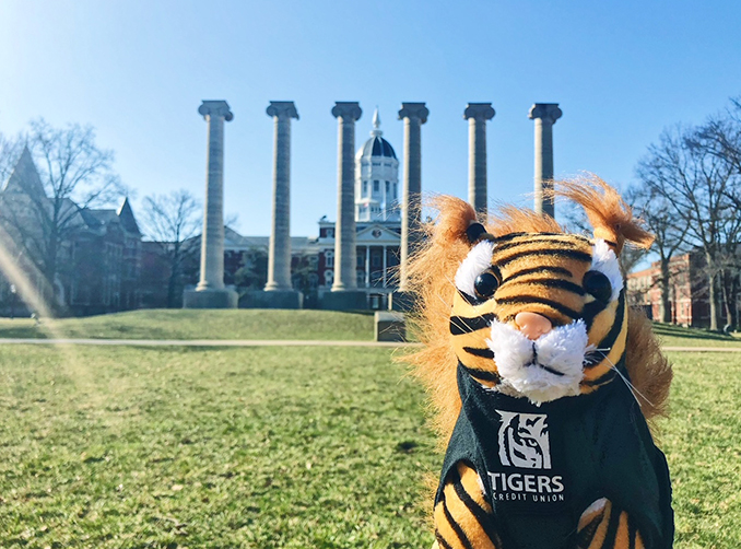 Tigersquirrel on the quad with the columns